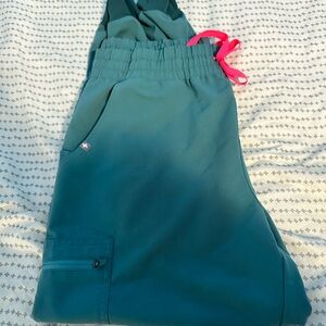 FIGS Hydrogreen Zamora Jogger Scrub Pants | Size L | EUC | PO 1875